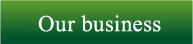 Our business